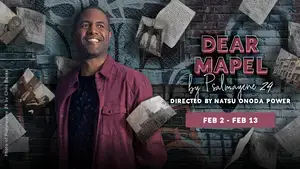 BWW Review:  Mosaic Theatre's DEAR MAPEL A Compelling, Personal Journey