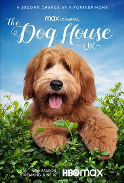 VIDEO: HBO Max Shares Trailer for Season Three Of THE DOG HOUSE: UK