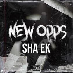 Sha EK Would Rather Be Known as a Forefather of Bronx Drill