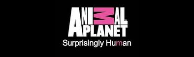 TV - ANIMAL PLANET News, Articles and Videos